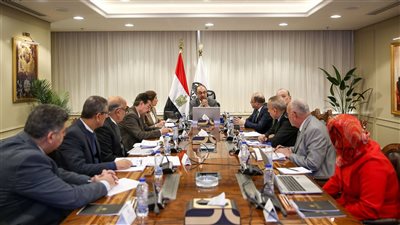 وزير قطاع الأعمال: 737 مشروعًا للشركات التابعة في 13 محافظة بـ