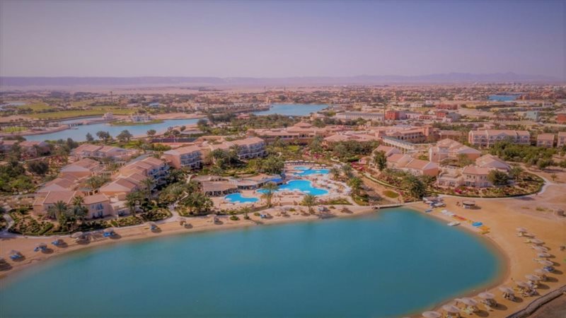 ارشيفية