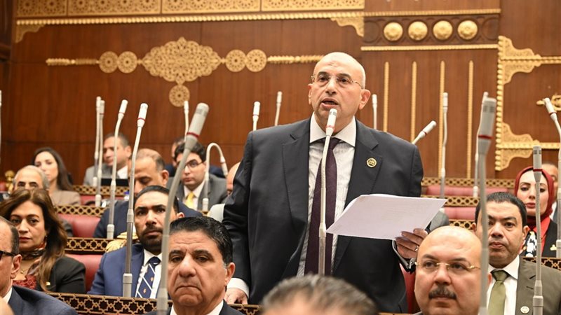 النائب أشرف عبدالغني عضو مجلس الشيوخ