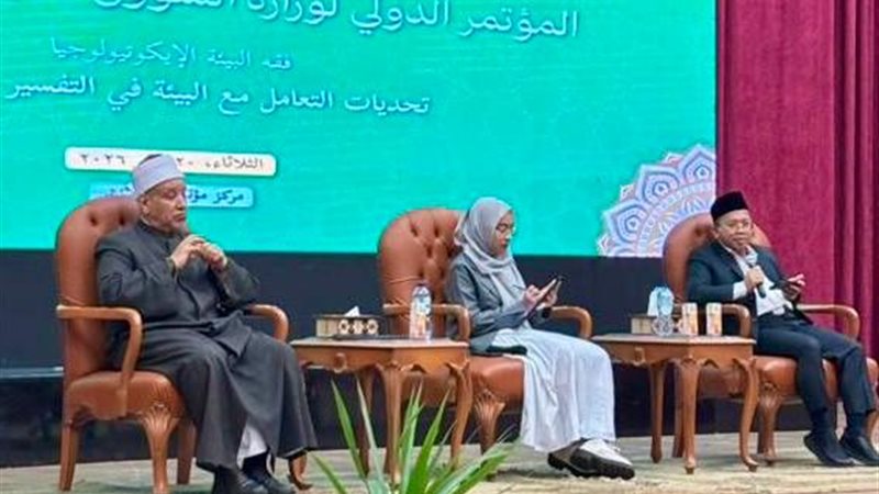 جانب من الفعاليات 