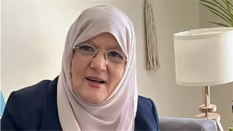 شمس البارودي