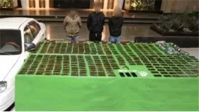 الداخلية تنسف نشاط إمبراطورية السموم في عدة محافظات 