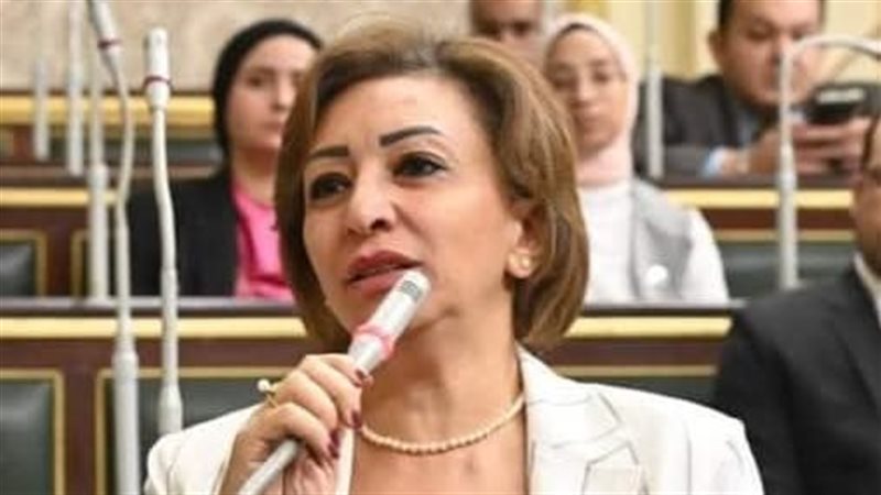 النائبة مها عبد الناصر عضو مجلس النواب 