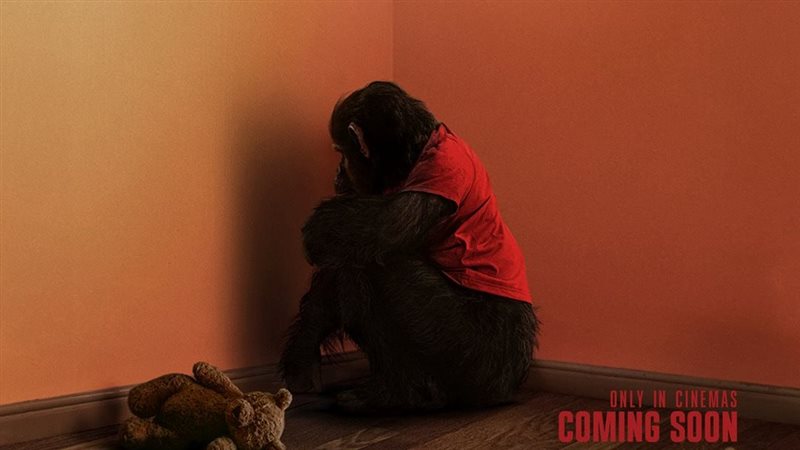 فيلم PRIMATE 