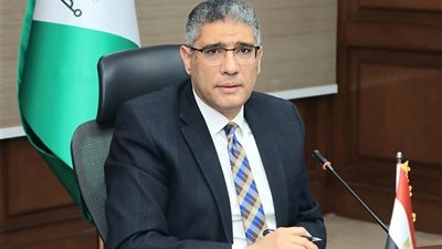 محافظ الجيزة: تحصين وتعقيم 5090 كلبًا ضالًا ضمن خطة منظمة للحد من الظاهرة