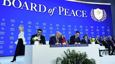 منظمة العفو الدولية تهاجم تأسيس 