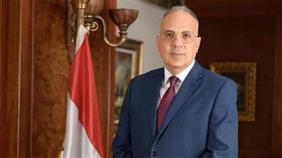 مصر واليابان تتوليان الرئاسة المشتركة لمسار «المياه من أجل الكوكب» بمؤتمر الأمم المتحدة