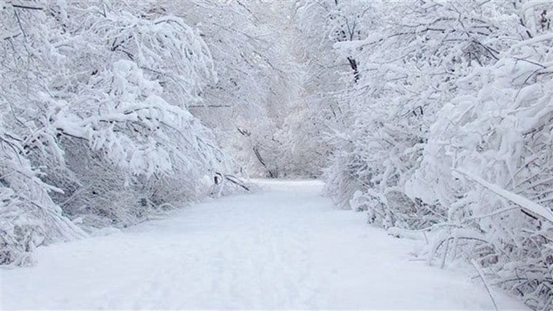 عواصف ثلجية 