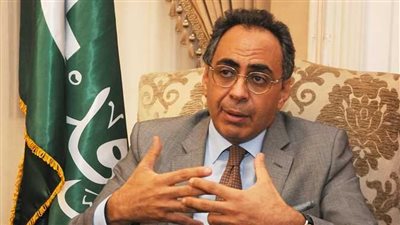 هاني سري الدين: وزارة الاسثمار بلا حقيبة وتحتاج إلى إسناد بعض الهيئات لها