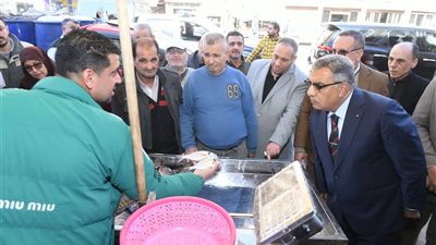 محافظ الدقهلية يوجه باستمرار متابعة توافر الأسماك والخضروات الطازجة بأسعار مخفضة