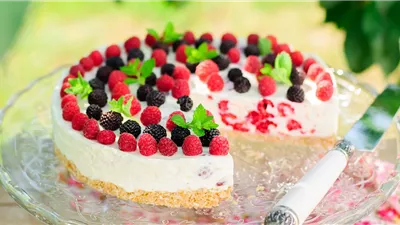 ألواح تشيز كيك فيلادلفيا.. حلوى ناعمة تذوب في الفم وتناسب العزومات والمناسبات