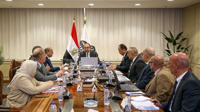 وزير قطاع الأعمال يتابع مشروع إنتاج حبيبات وأقراص الكلور بالشراكة مع القطاع الخاص