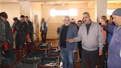 المدير التنفيذي لجهاز حماية وتنمية البحيرات يتفقد موسم الصيد بمزرعة برسيق