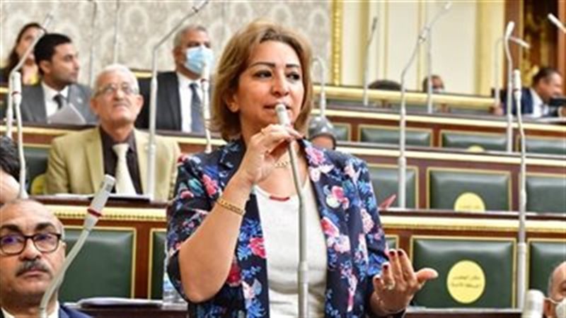 النائبة الدكتورة مها عبد الناصر