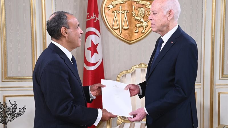 الدكتور بدر عبد العاطي والرئيس التونسي قيس سعيد