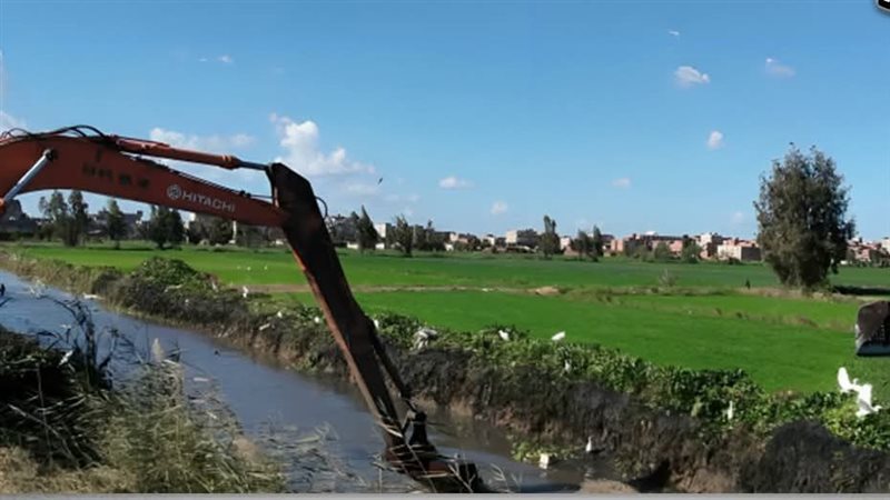 الزراعة 