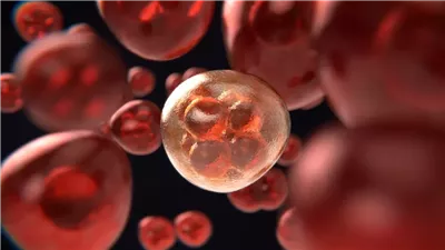 دراسة تكشف عن خلايا محورية تقف وراء مقاومة سرطان الرئة للعلاج 