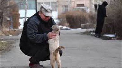 بعد رحيله.. سيدة أمريكية تنفق 50 ألف دولار لمحاولة استنساخ كلبها