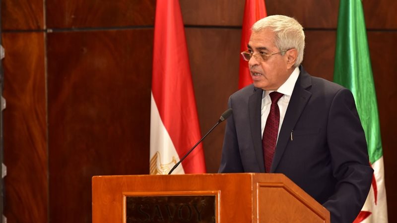 المستشار أحمد سعيد خليل 