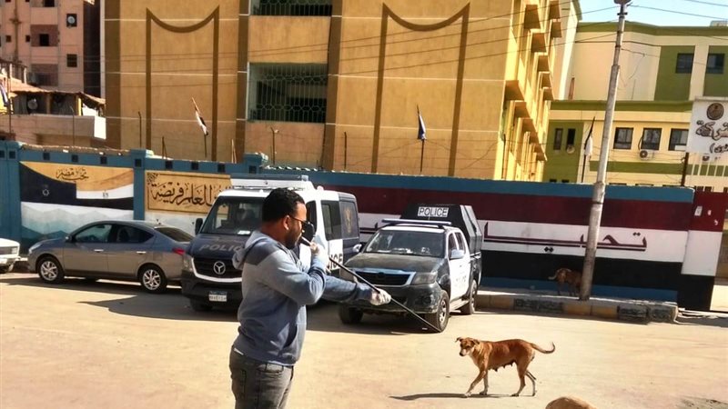 تطعيم الكلاب 