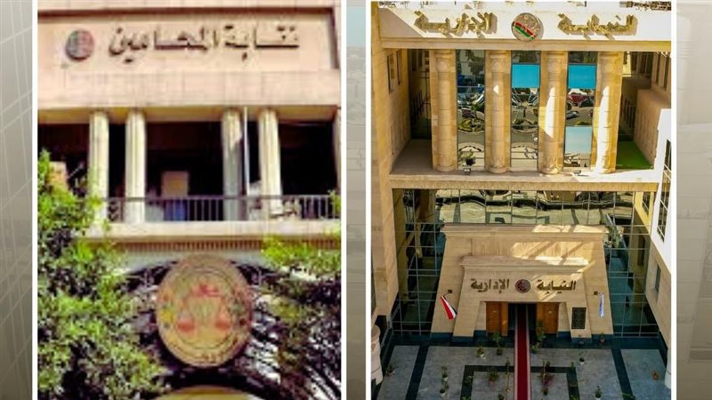 النيابة الإدارية 