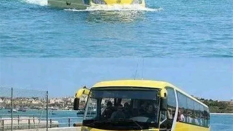 الأتوبيس البرمائي 