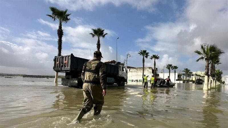 الجيش المغربي يتدخل لإنقاذ العالقين وسط فيضانات شمال غربي 