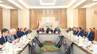 رئيس جامعة دمياط يشارك في المجلس الأعلى للجامعات لتعزيز منظومة الابتكار وريادة الأعمال