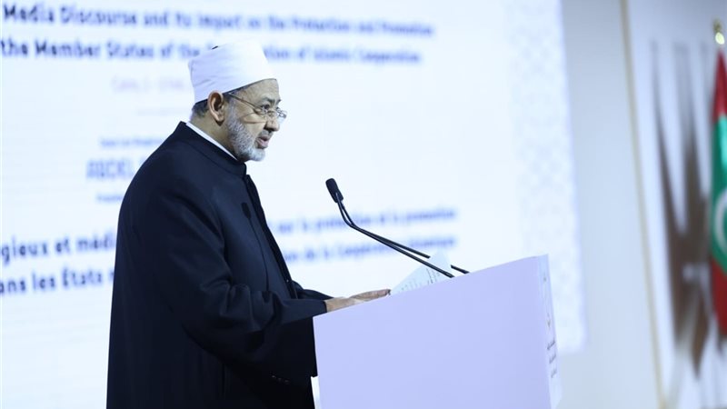 شيخ الأزهر 