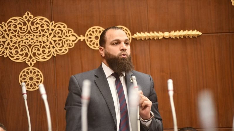 النائب محمود تركي، عضو مجلس الشيوخ 