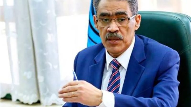 ضياء رشوان