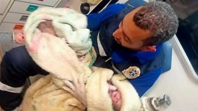 من قلب الرمال.. ولادة مفاجئة لتوأم تدهش فرق الإسعاف بالبحر الأحمر