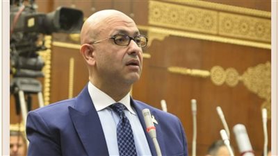 النائب مصطفى الشبراوي يطالب بمواجهة 
