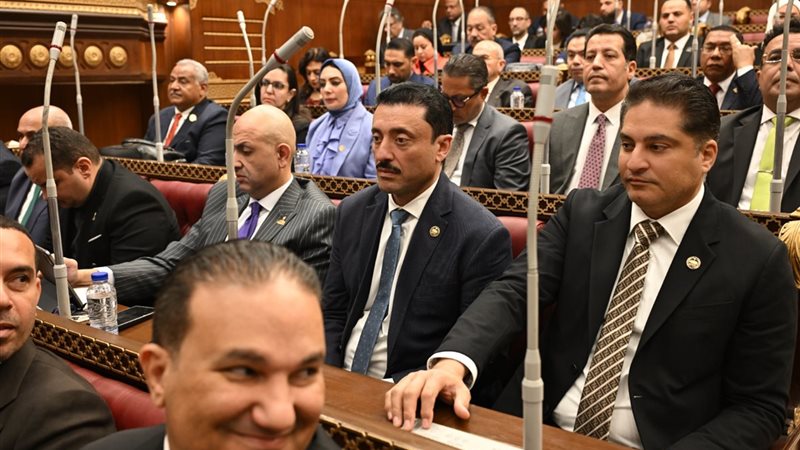 النائب محمد رزق