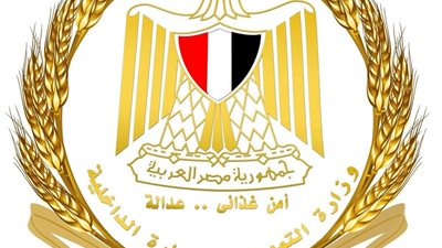 تحرير 37 محضرًا متنوعًا وضبط 460 عبوة سلع منتهية الصلاحية في حملات بقنا