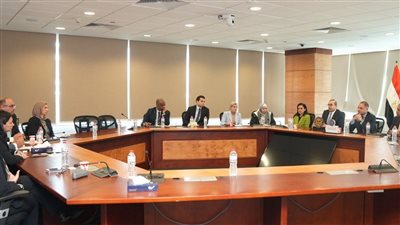 الرقابة المالية والبنك المركزي يناقشان تعزيز الشمول المالي ودعم المشروعات الصغيرة