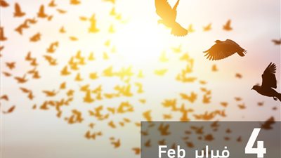 مجلس حكماء المسلمين: وثيقة الأخوَّة الإنسانية أسَّست لمسار إنساني عالمي جديد
