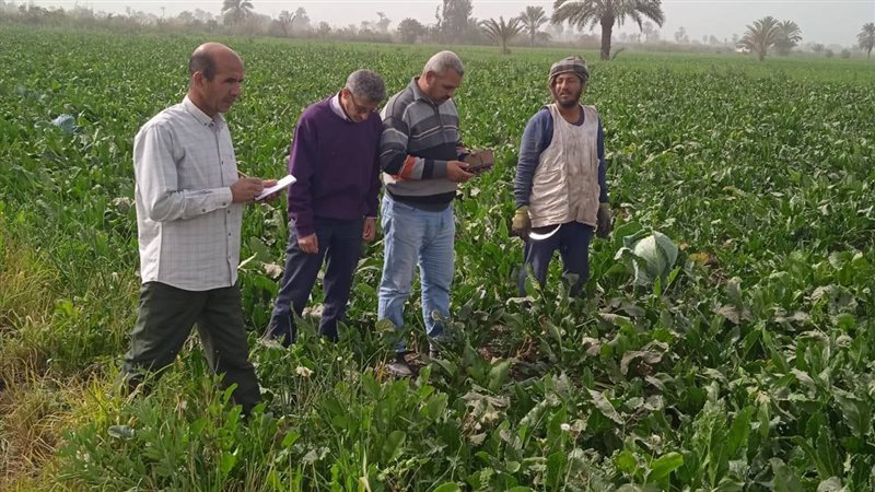 الآفات الزراعية