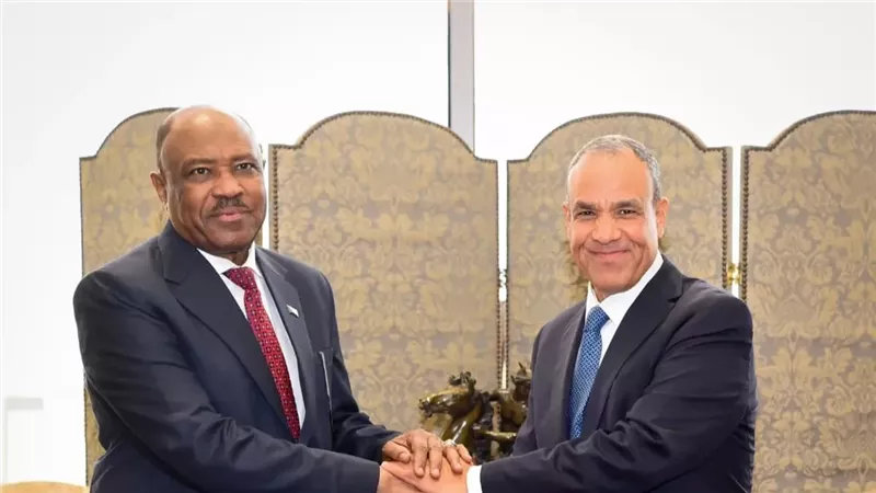 بدر عبد العاطي ووزير خارجية السودان