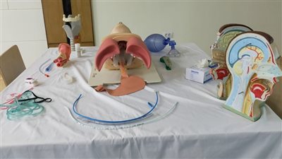 عالم بلا مرضى.. مشروع مبتكر بالقاهرة يطلق إبداعات طلاب الطب ويصقل مهاراتهم