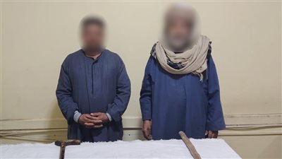 خلافات جيرة تدفع عاطلان على التعدى بسيدتان بأسوان والأمن يضبط الجناه 
