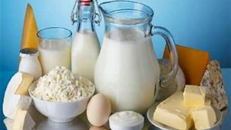 منتجات الألبان 