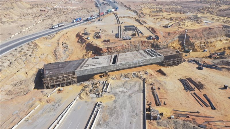  مشروع خط سكة حديد الروبيكي