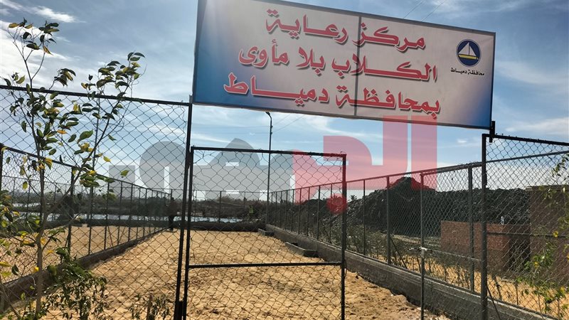 مركز رعاية الكلاب بلا مأوي بدمياط 