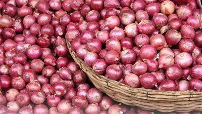 3 دول تتصدر إنتاج البصل عالميًا.. مصر تحافظ على المركز الثالث