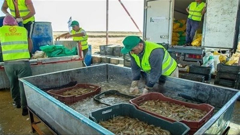  جهاز حماية وتنمية البحيرات والثروة السمكية