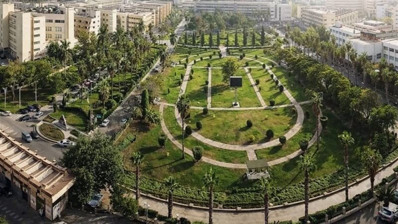 جامعة المنصورة 