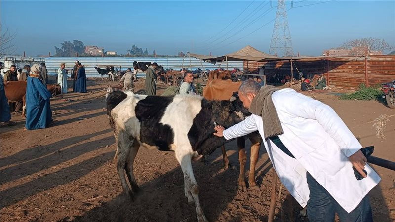 وزارة الزراعة