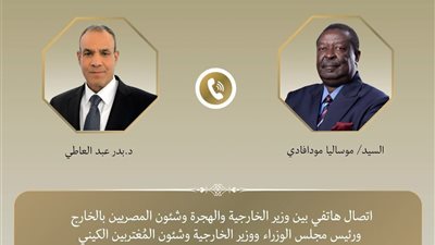 اتصال مصري–كيني رفيع المستوى لتعزيز الشراكة والتنسيق قبيل قمة الاتحاد الإفريقي