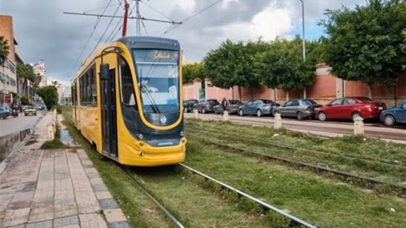 ترام الإسكندرية 